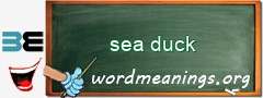 WordMeaning blackboard for sea duck